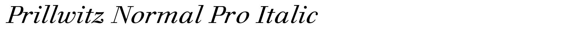 Prillwitz Normal Pro Italic image